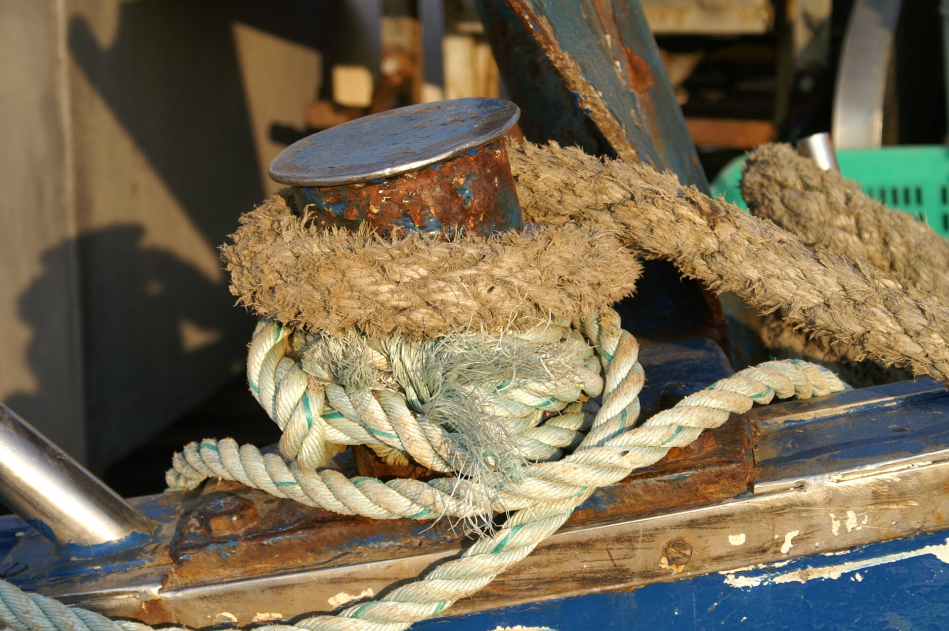 KONICA MINOLTA DIGITAL CAMERA